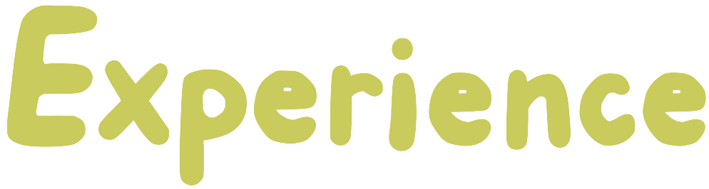 Experience